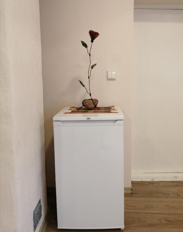 Poilsio kampelis Zarasuose room 6